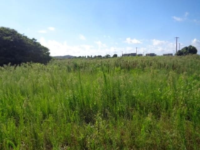 B000530202501300085861.jpg
