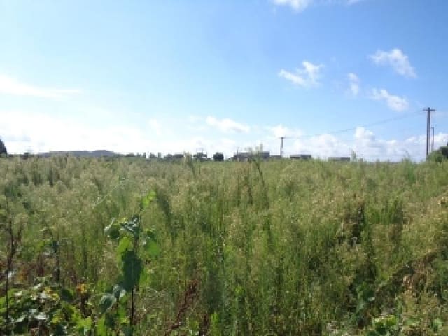 B000530202501300085863.jpg