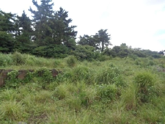 B000530202501300086002.jpg