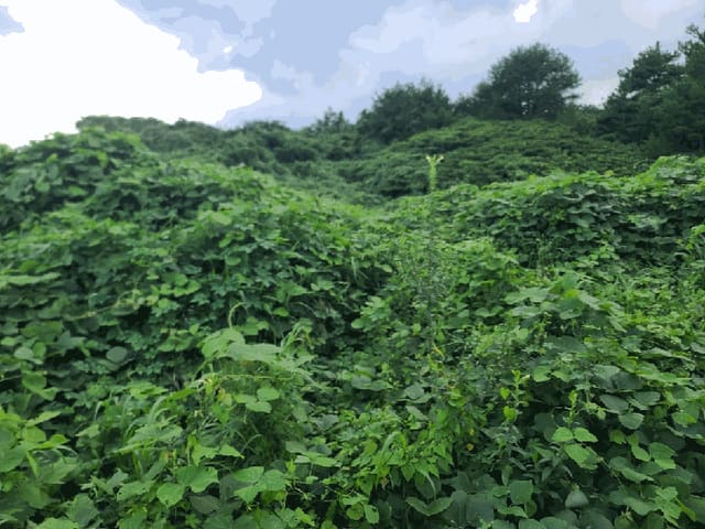 B000530202501300086015.jpg