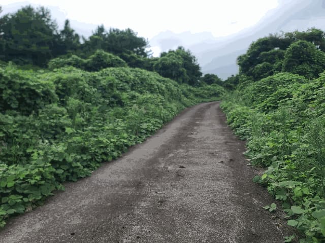 B000530202501300086016.jpg