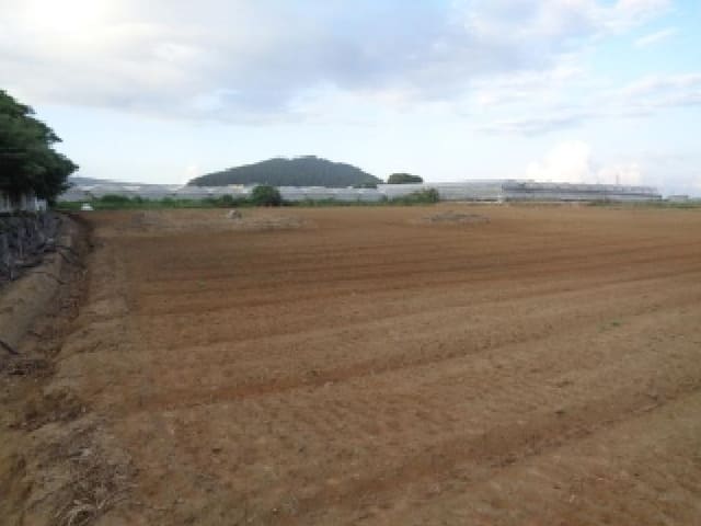 B000530202501300086063.jpg