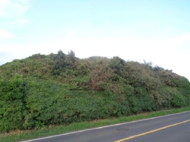 B000530202501300086061.jpg