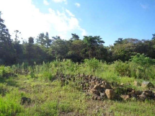B000530202501300086073.jpg