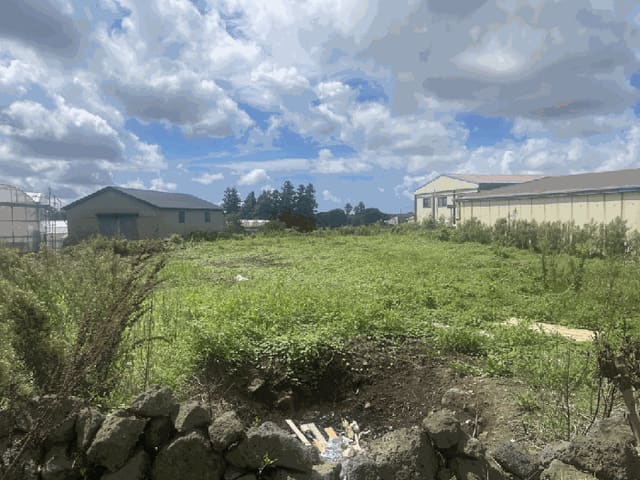 B000530202501300086114.jpg