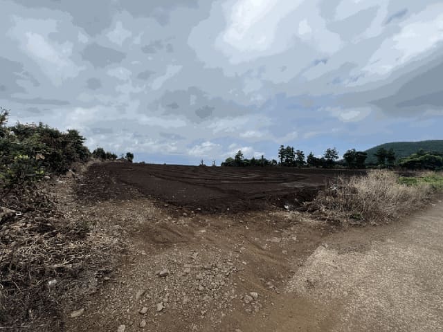 B000530202501300086192.jpg