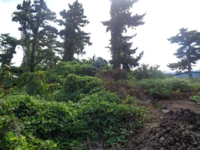 B000530202501300086362.jpg
