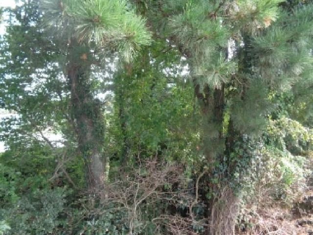 B000530202501300086363.jpg
