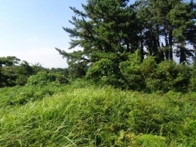 B000530202501300086371.jpg