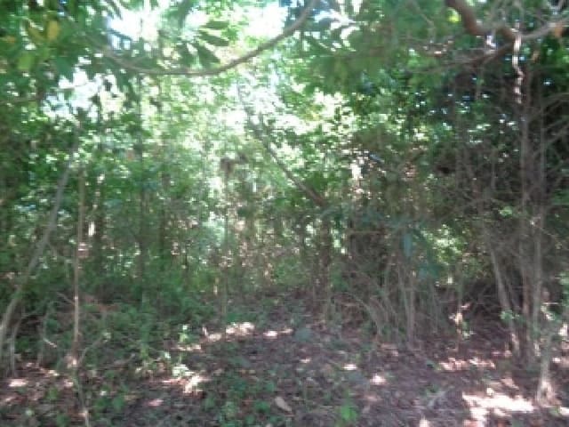 B000530202501300086372.jpg