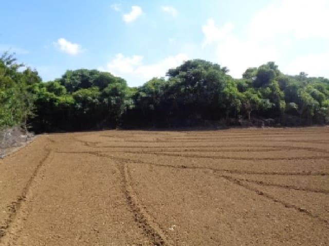 B000530202501300086544.jpg