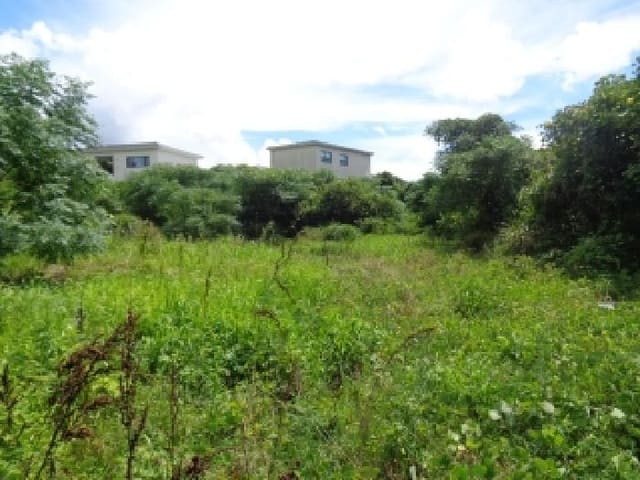 B000530202501300086572.jpg