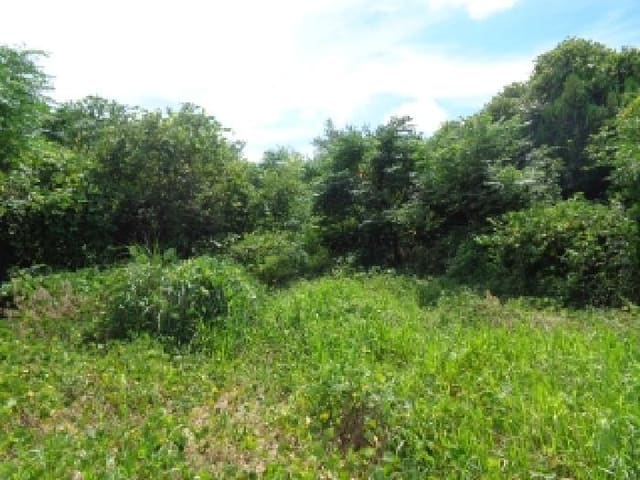 B000530202501300086574.jpg