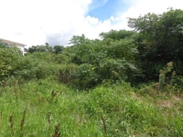 B000530202501300086573.jpg