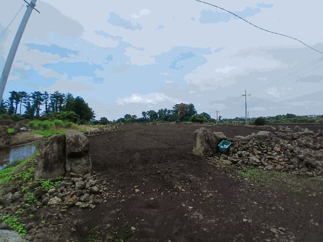 B000530202501300086624.jpg