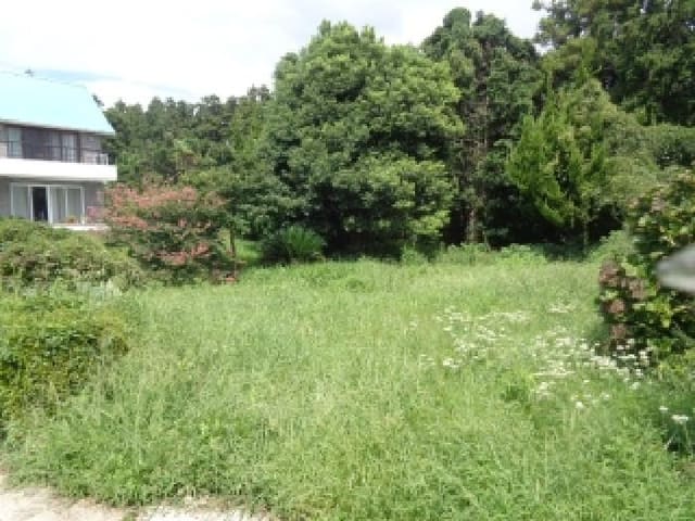 B000530202501300086682.jpg