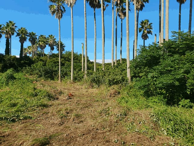 B000530202501300086702.jpg