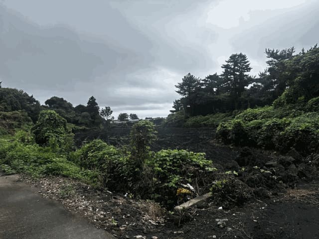 B000530202501300086722.jpg