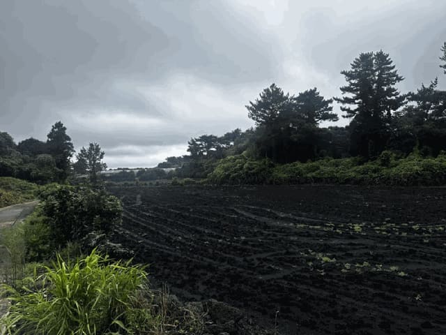 B000530202501300086724.jpg