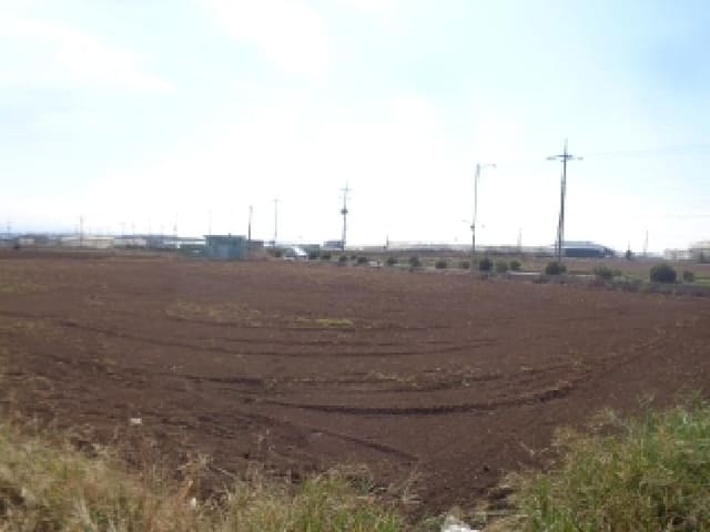 B000530202501300086731.jpg