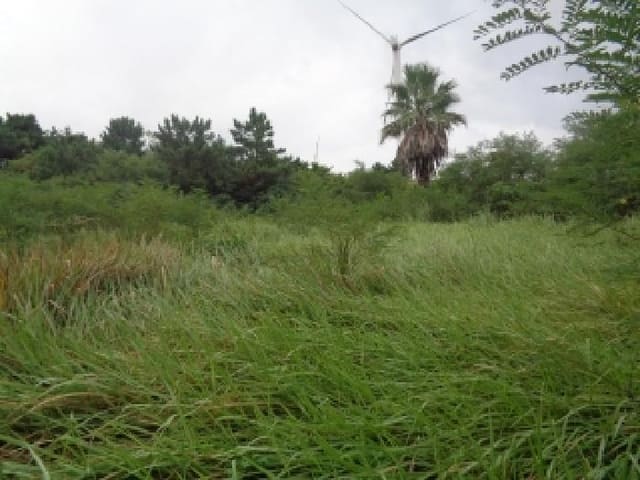 B000530202501300086802.jpg