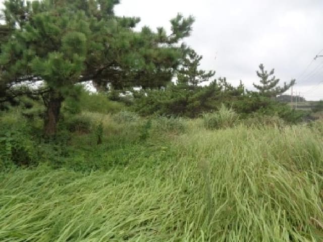 B000530202501300086801.jpg