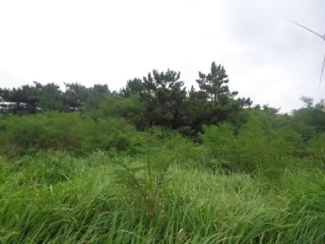 B000530202501300086804.jpg