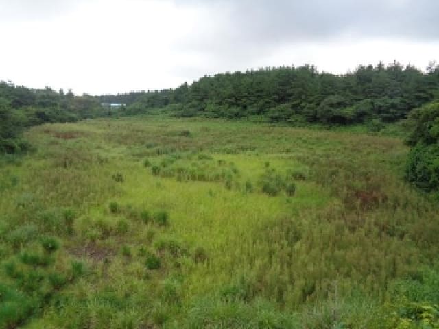 B000530202501300087021.jpg