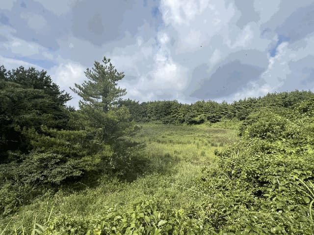 B000530202501300087024.jpg