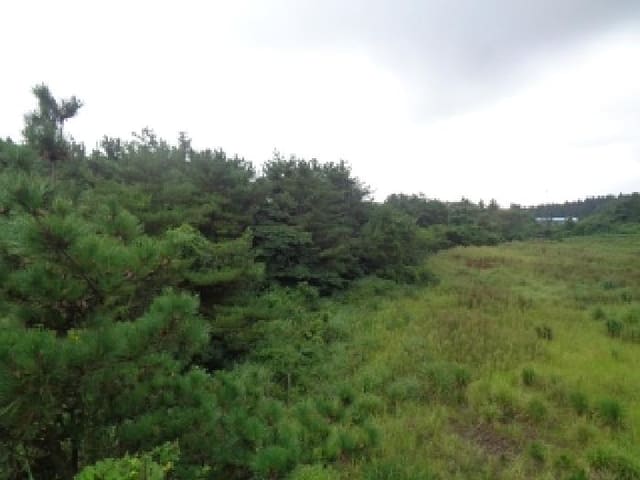 B000530202501300087023.jpg