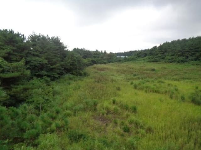 B000530202501300087022.jpg
