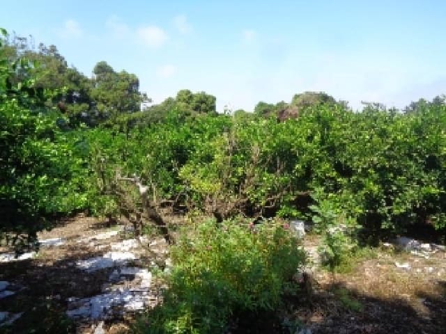 B000530202501300087141.jpg
