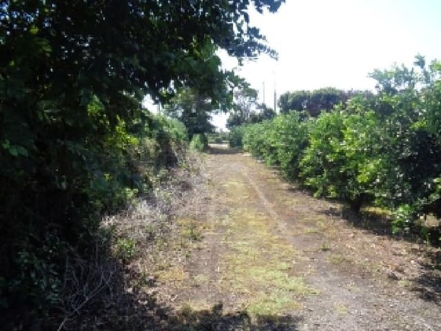 B000530202501300087144.jpg