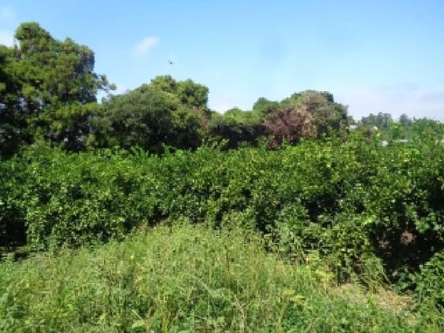 B000530202501300087142.jpg