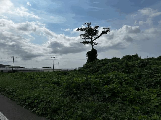 B000530202501300087714.jpg