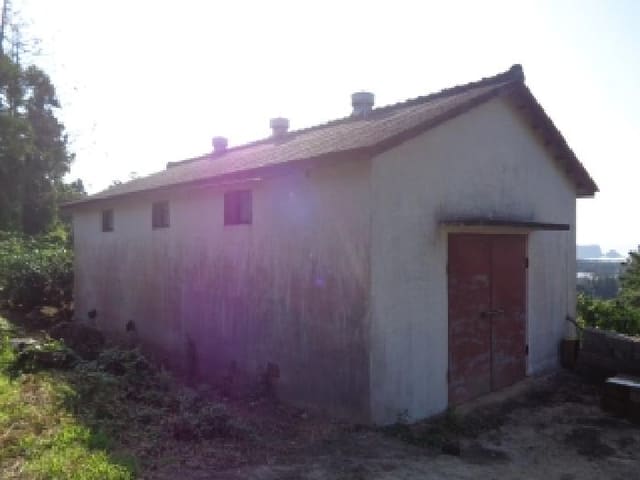 B000530202501300087763.jpg