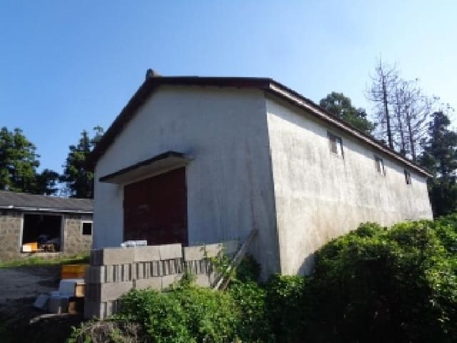 B000530202501300087764.jpg