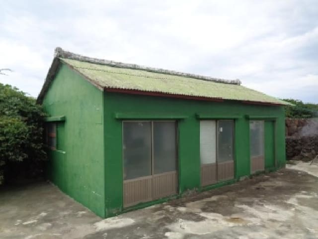 B000530202501300087851.jpg