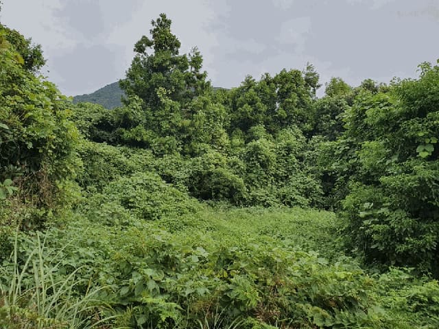 B000530202501300087954.jpg
