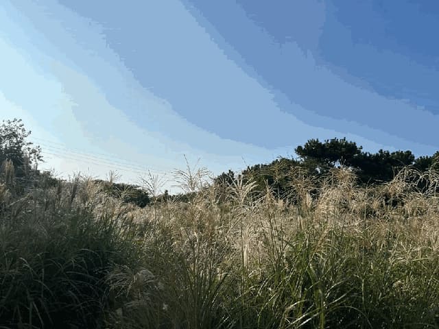 B000530202501300088054.jpg