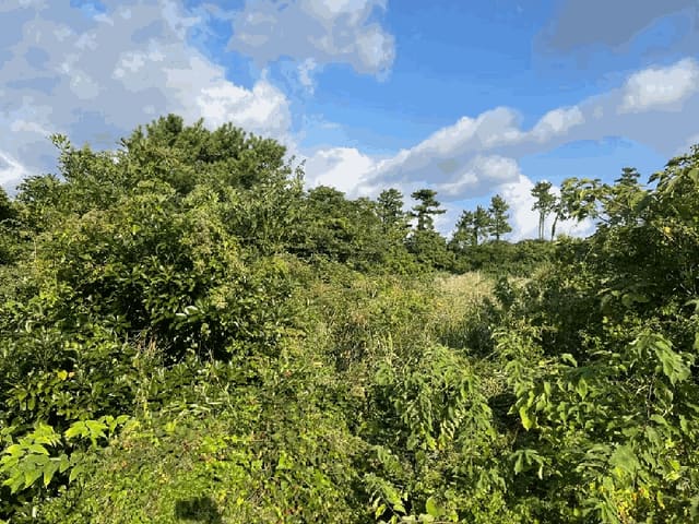 B000530202501300088053.jpg