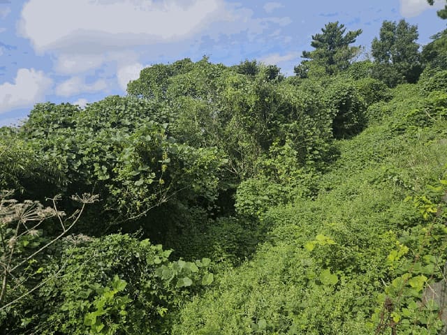 B000530202501300088184.jpg