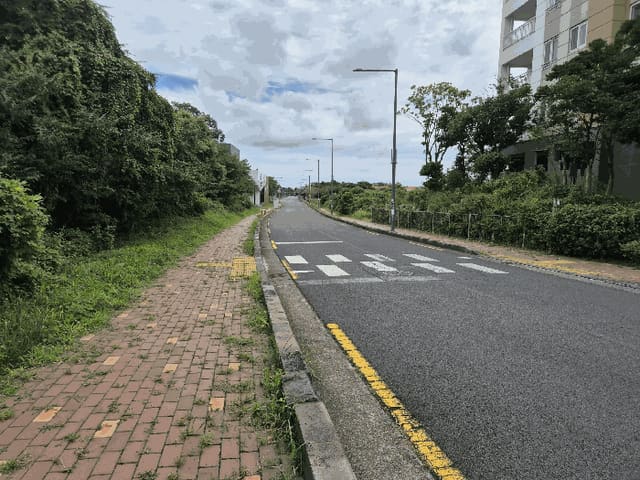B000530202501300088384.jpg
