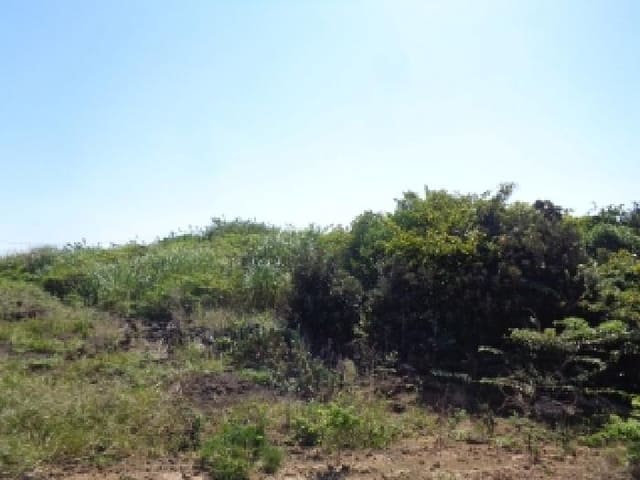 B000530202501300088442.jpg