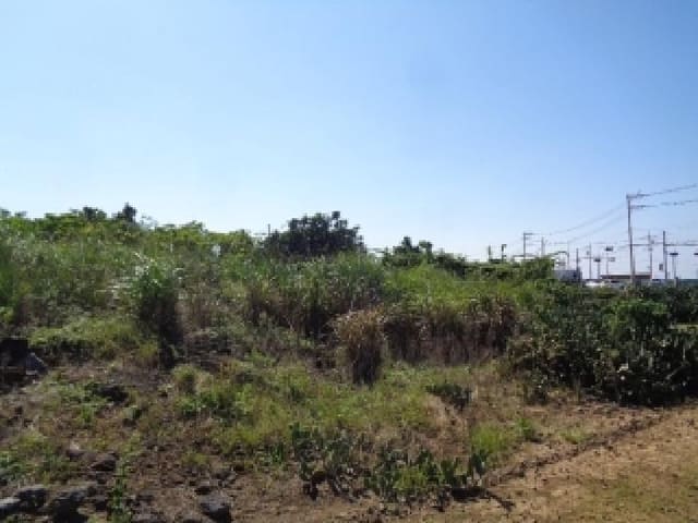 B000530202501300088443.jpg