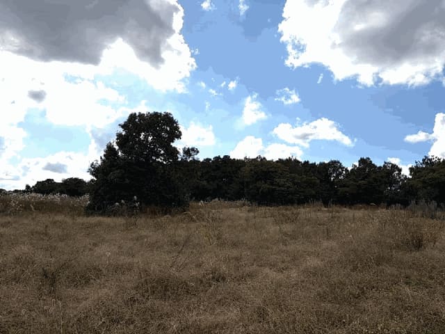B000530202501300088604.jpg