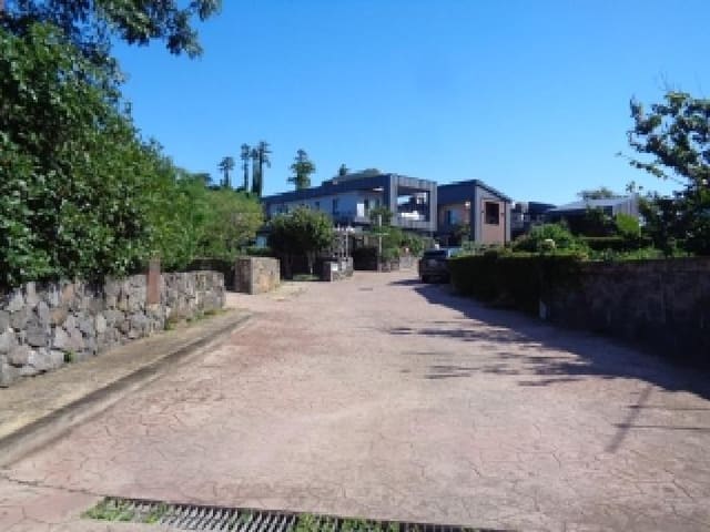 B000530202501300088714.jpg