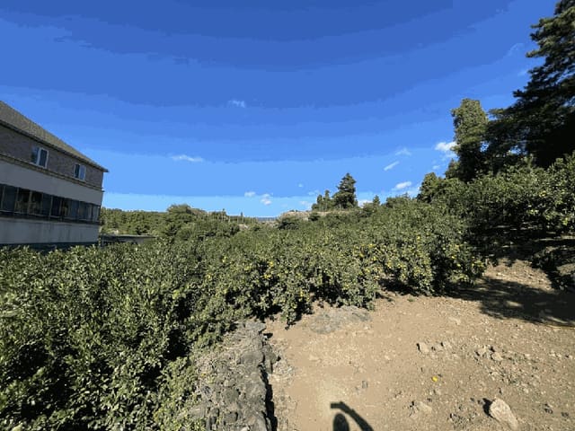 B000530202501300089364.jpg