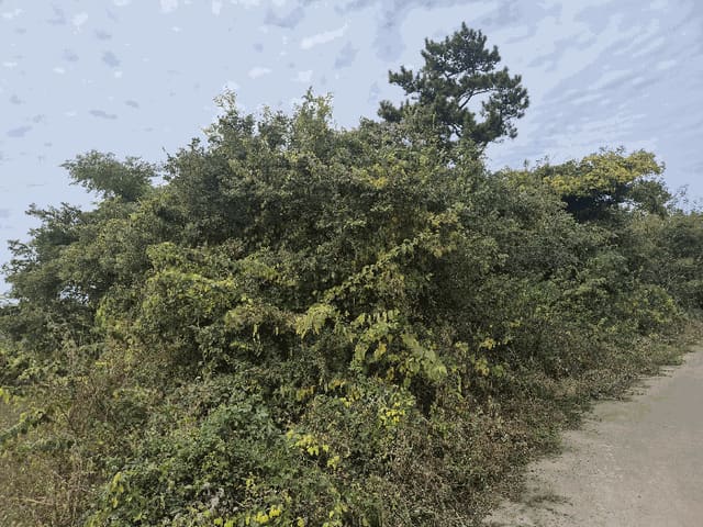 B000530202501300089634.jpg