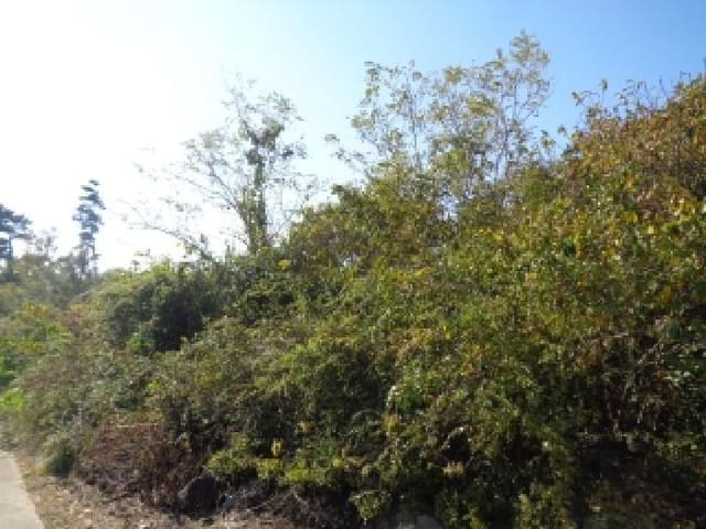 B000530202501300089631.jpg